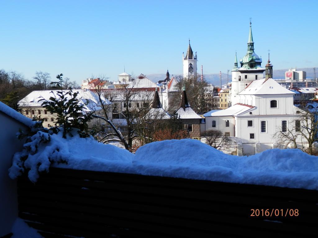 Hotel U Kozicky Teplice Exterior photo